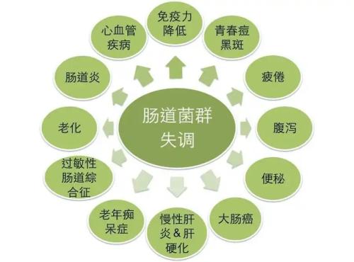 健胃消食片成分表_健胃消食片的主要成分有哪些_江中健胃消食片说明书成分
